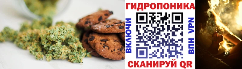 Cannafood марихуана  Новое Девяткино 