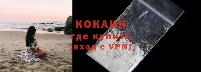 где купить наркотик  Новое Девяткино  COCAIN Fish Scale 