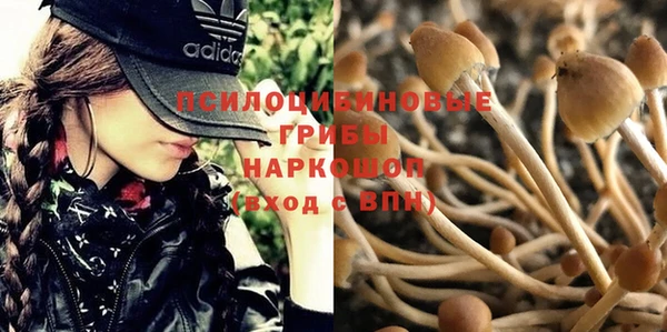 ALPHA-PVP Осташков
