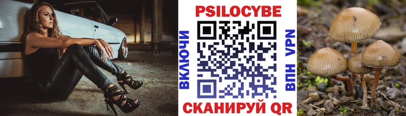 Галлюциногенные грибы Magic Shrooms  купить  сайты  hydra маркетплейс  Новое Девяткино 