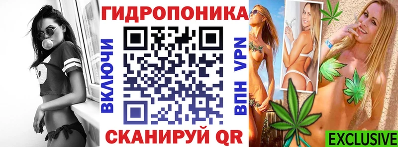 закладка  Новое Девяткино  Канабис сатива 